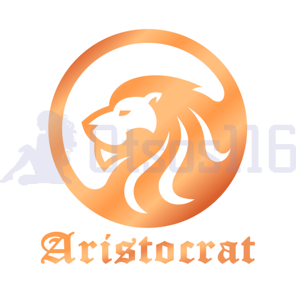 Анкета салона: Aristocrat 25 лет #2